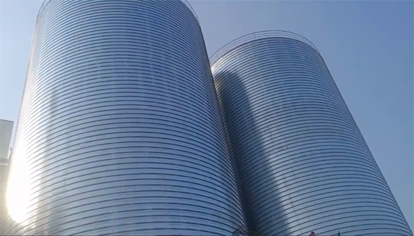 龙凤2座混凝土高架卷板仓